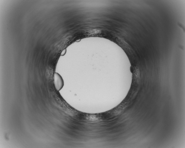 X0000099550565200806131215