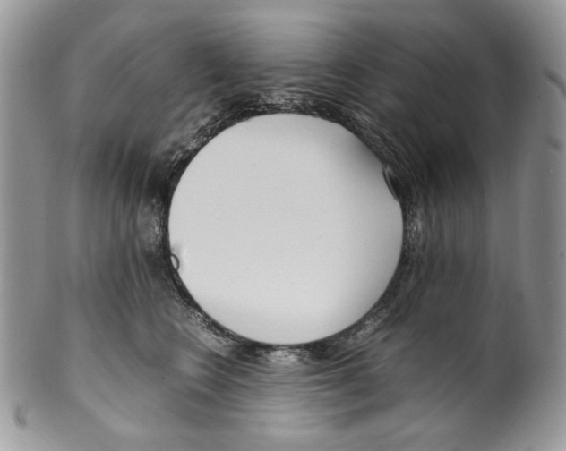 X0000099550566200806131215