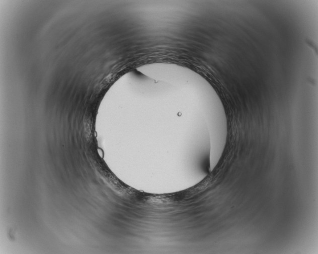 X0000099550568200806131215