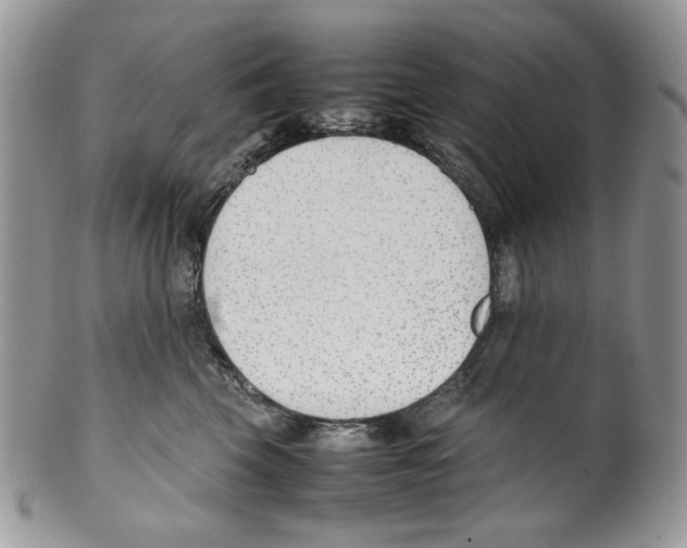 X0000099550569200806131215