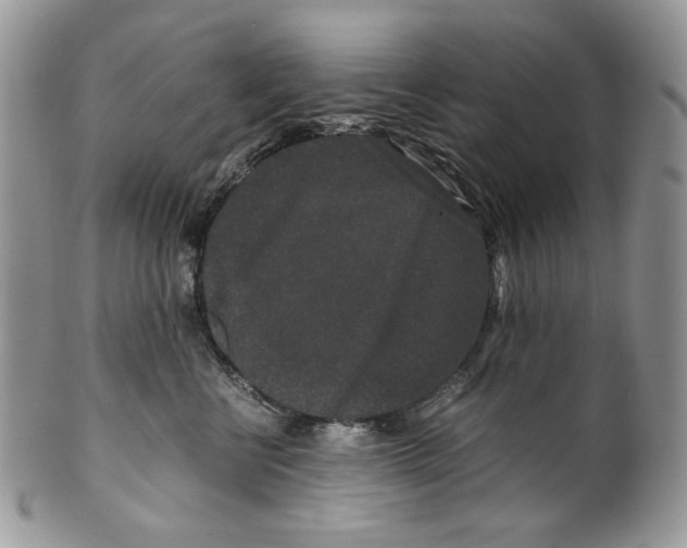 X0000099550570200806131215