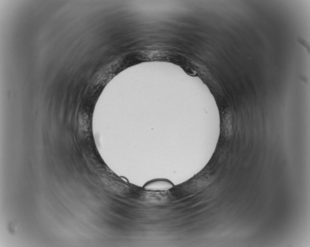 X0000099550571200806131215