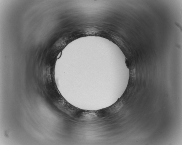 X0000099550572200806131215