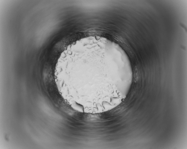 X0000099550573200806131215