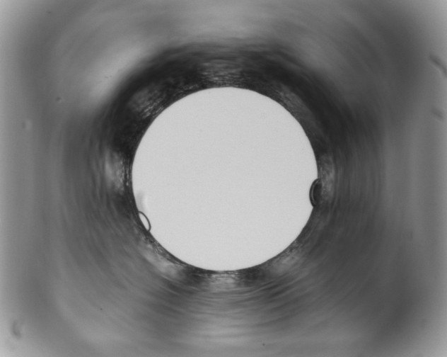 X0000099550574200806131215