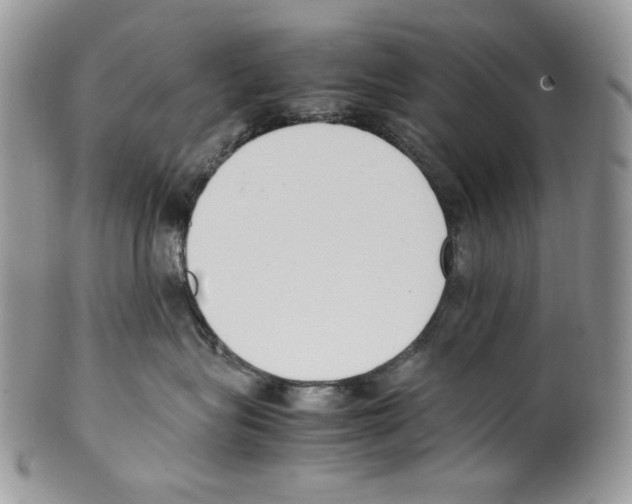 X0000099550575200806131215