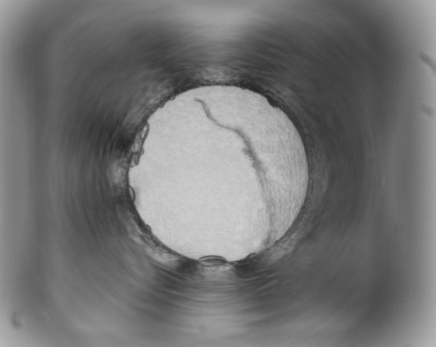 X0000099550576200806131215