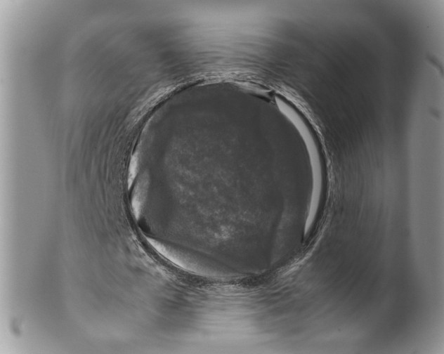 X0000099550577200806131214