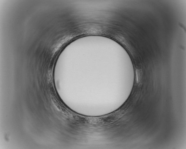 X0000099550579200806131214