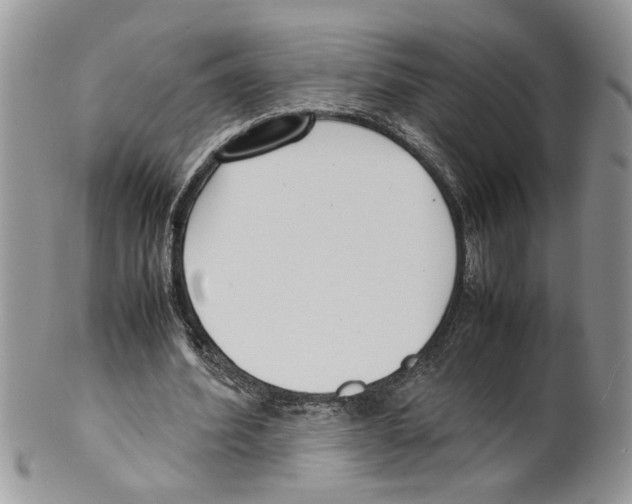 X0000099550580200806131214