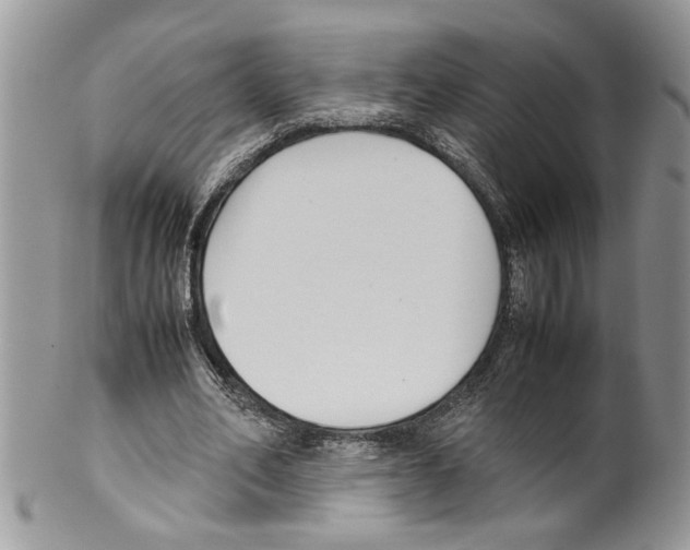 X0000099550582200806131214