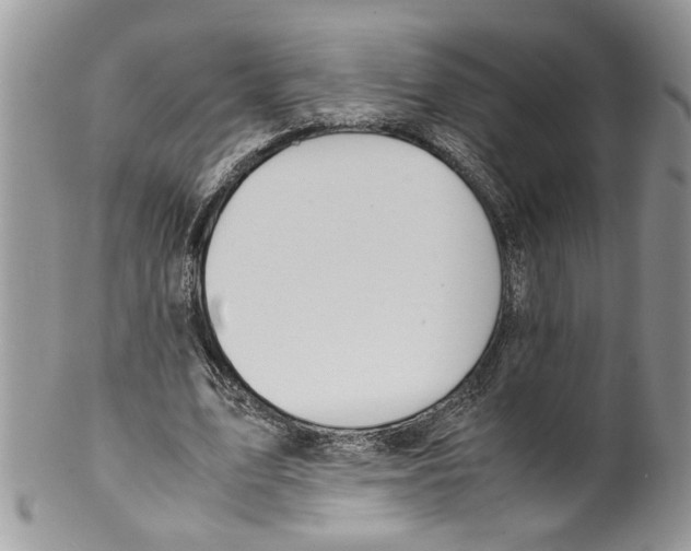 X0000099550583200806131214