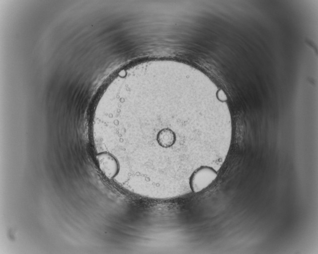 X0000099550584200806131214