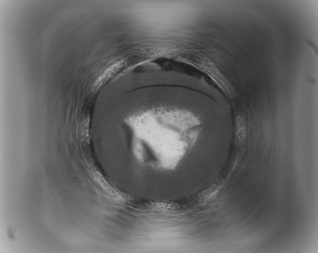 X0000099550585200806131214