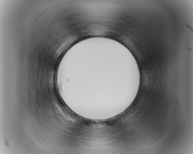 X0000099550586200806131214