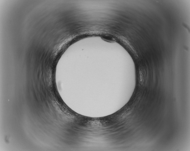 X0000099550588200806131214