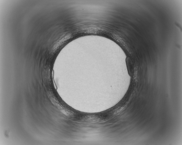 X0000099550589200806131214