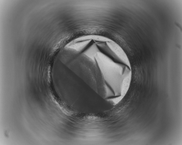 X0000099550590200806131214