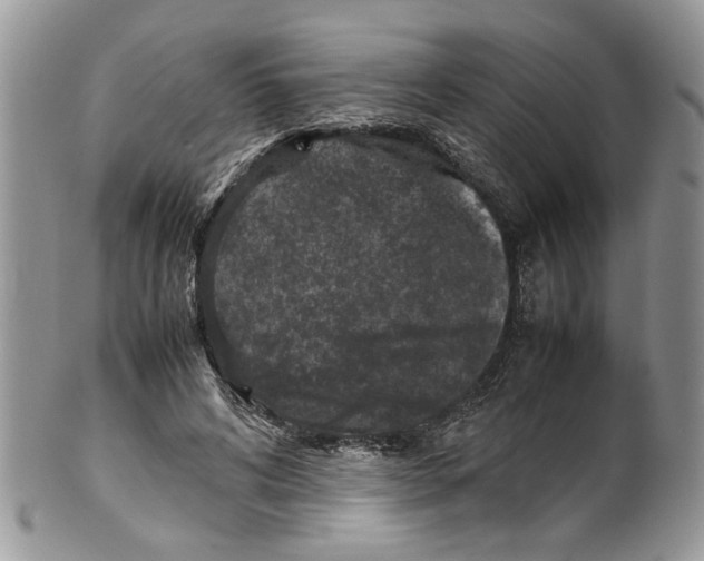 X0000099550592200806131214