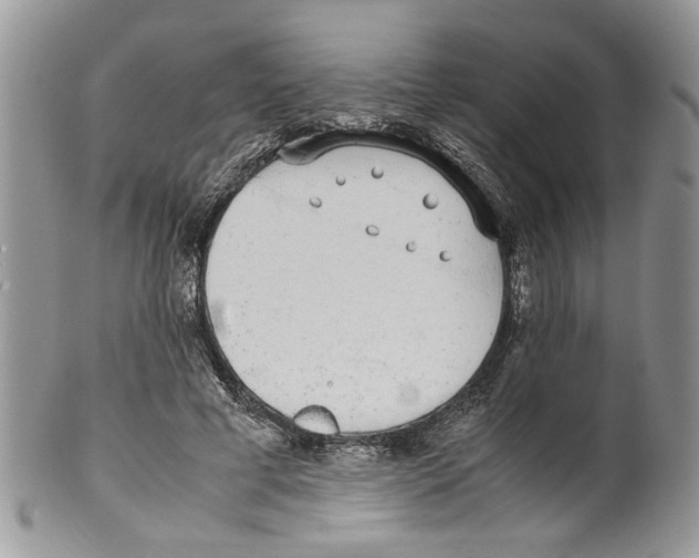 X0000099550593200806131214