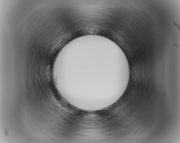 X0000099550594200806131214