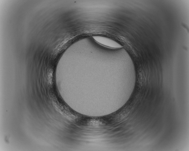 X0000099550596200806131214