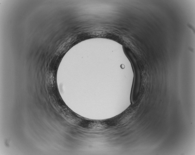 X0000099550597200806131214