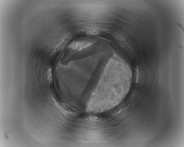 X0000099550598200806131214