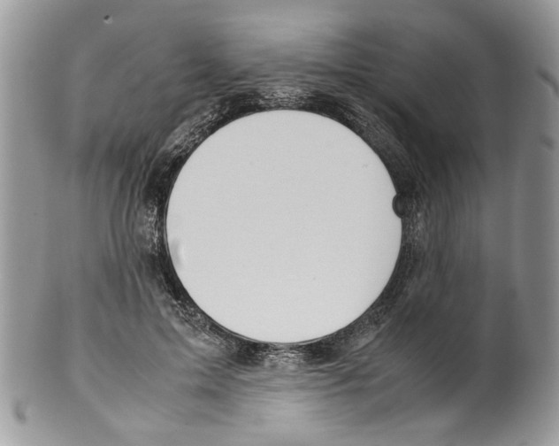 X0000099550599200806131214