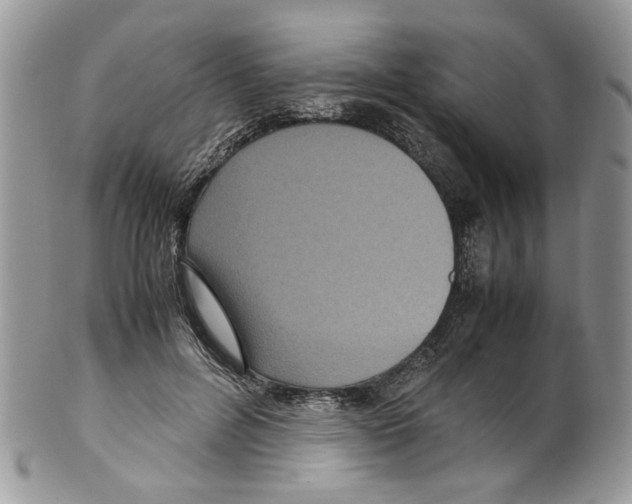 X0000099550600200806131214