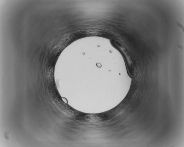 X0000099550601200806131214