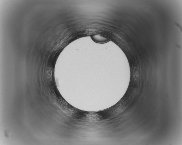 X0000099550603200806131214