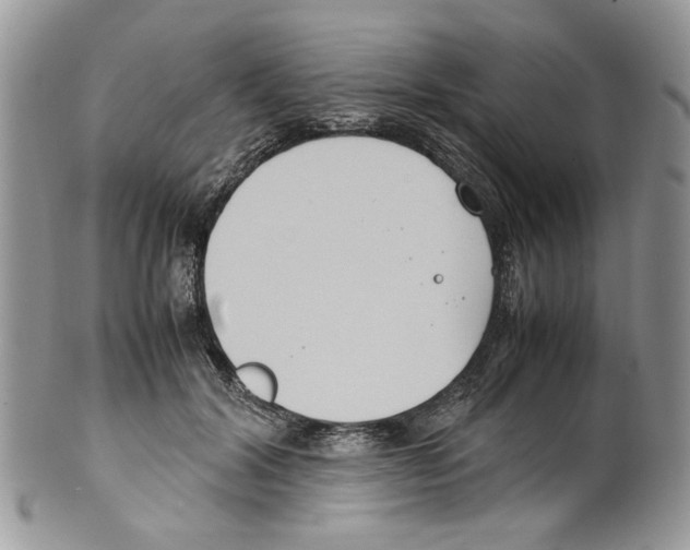 X0000099550604200806131214