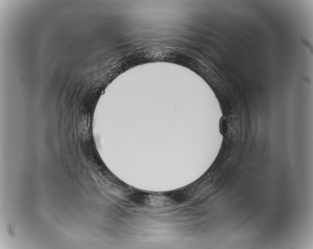 X0000099550605200806131214