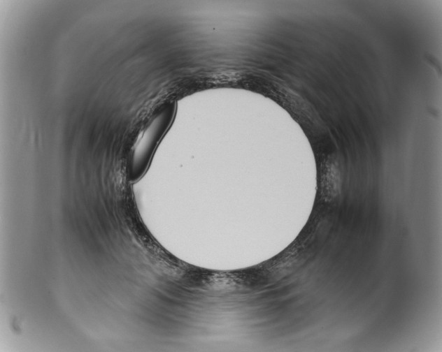 X0000099550608200806131214