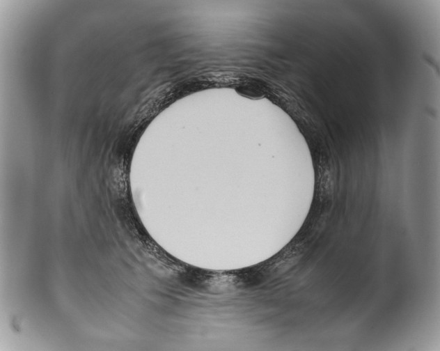 X0000099550609200806131214