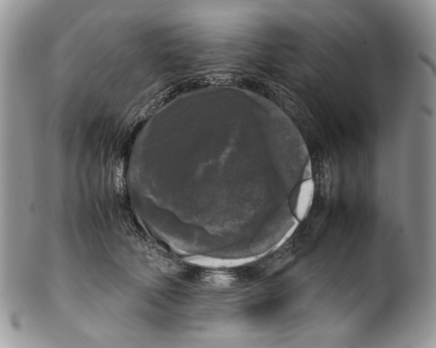 X0000099550610200806131214