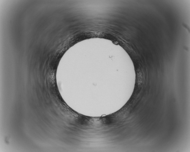 X0000099550613200806131214