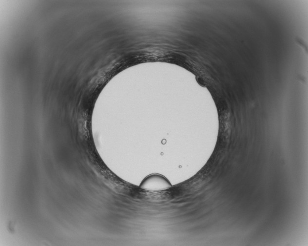 X0000099550615200806131214