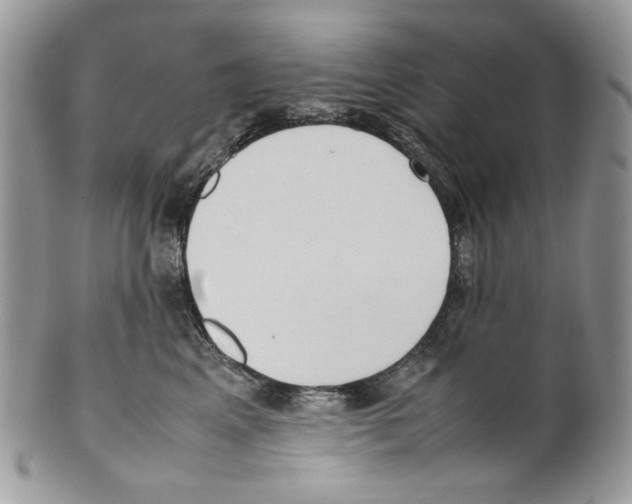 X0000099550617200806131214