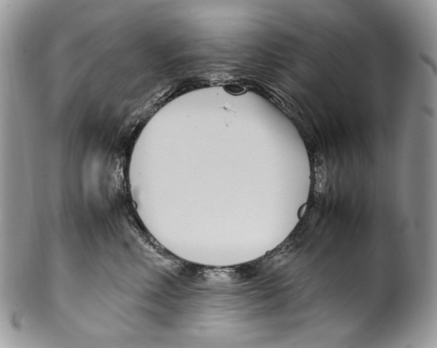 X0000099550618200806131214