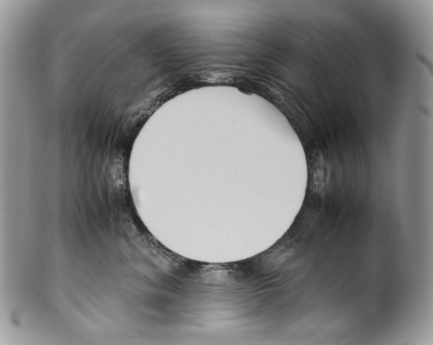 X0000099550620200806131213