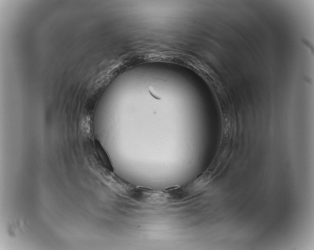 X0000099550621200806131213