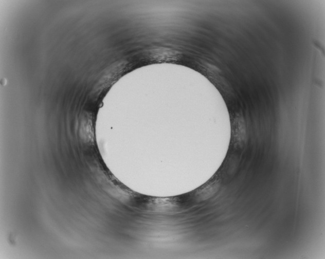 X0000099550622200806131213