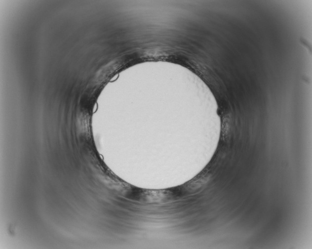 X0000099550623200806131213