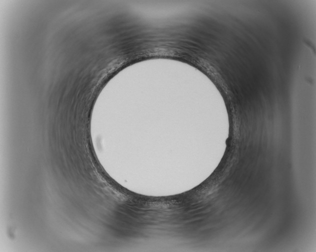 X0000099550625200806131213