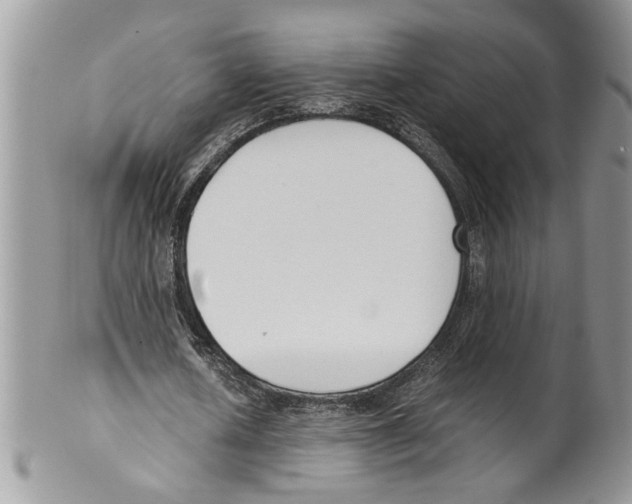 X0000099550626200806131213