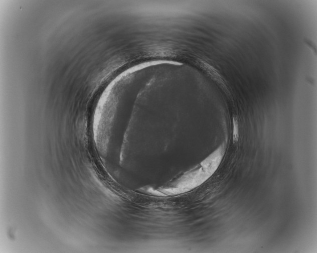 X0000099550627200806131213