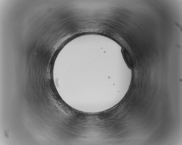 X0000099550628200806131213