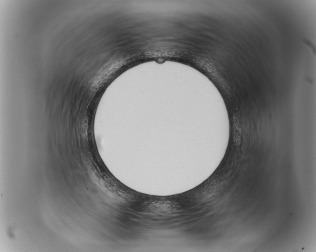 X0000099550631200806131213